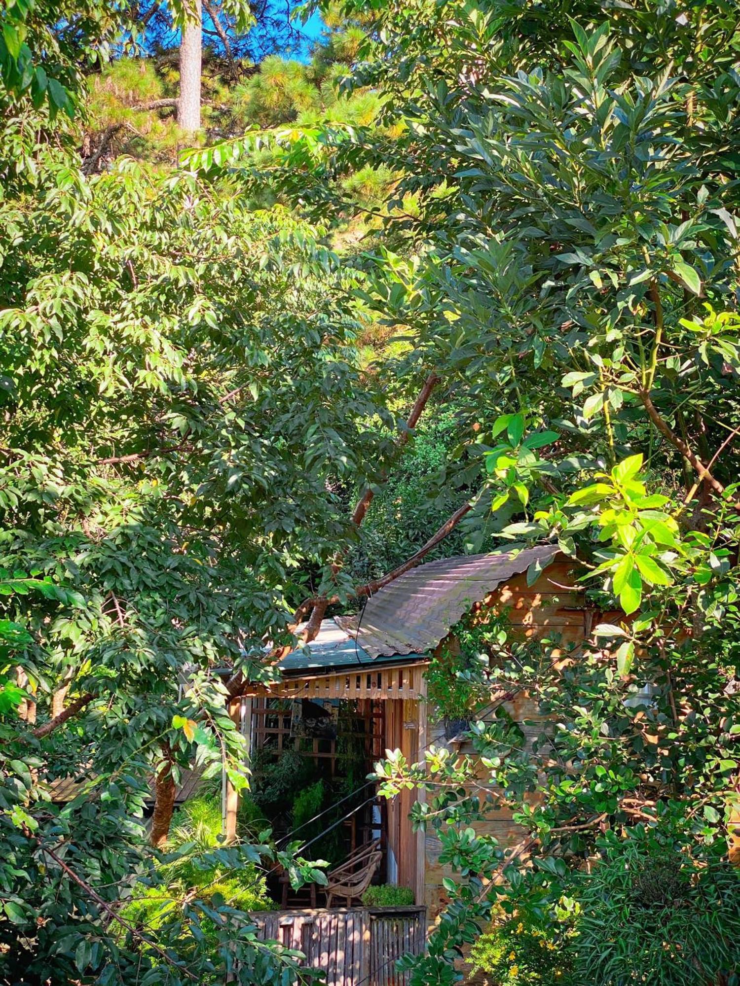 Dalat Memories Homestay - Pho Suong Mo Далат Екстер'єр фото