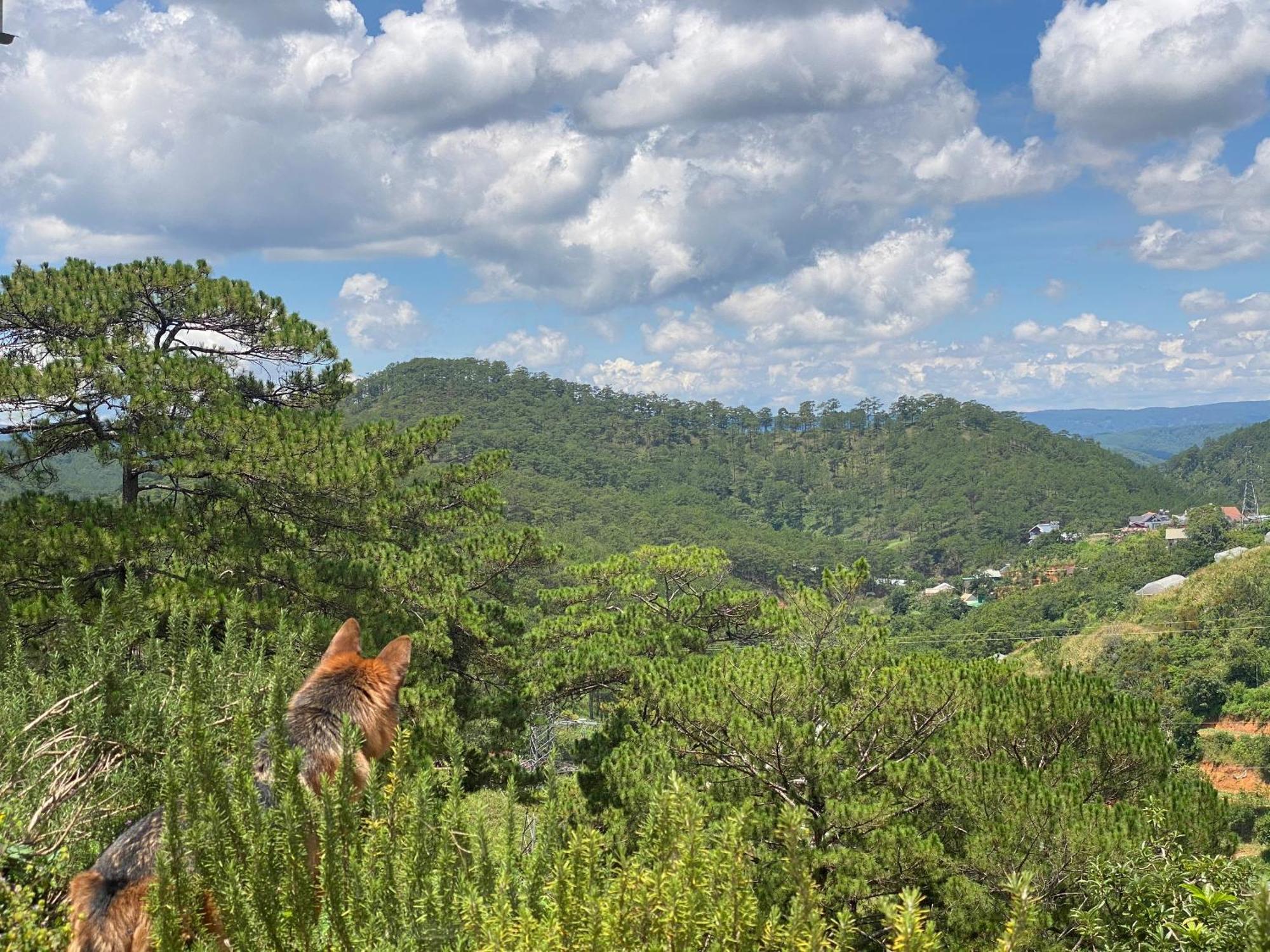 Dalat Memories Homestay - Pho Suong Mo Далат Екстер'єр фото