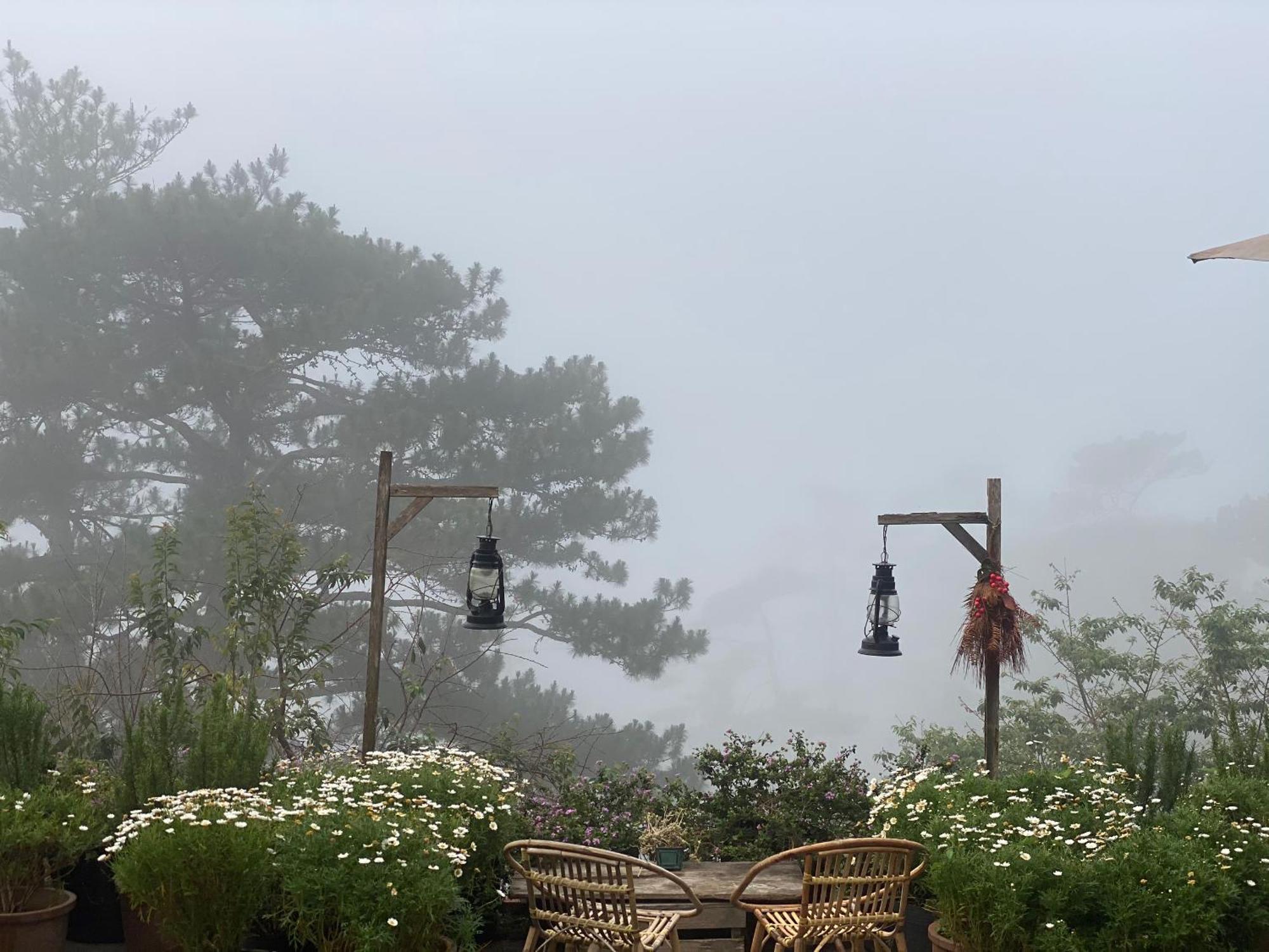 Dalat Memories Homestay - Pho Suong Mo Далат Екстер'єр фото