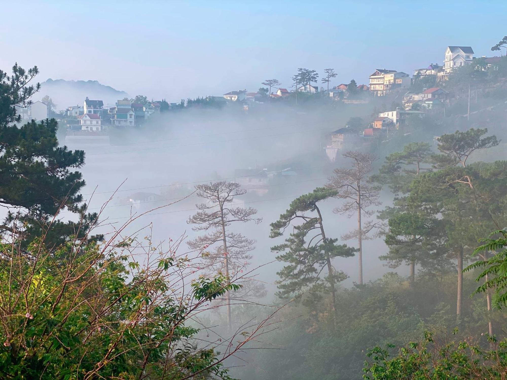 Dalat Memories Homestay - Pho Suong Mo Далат Екстер'єр фото