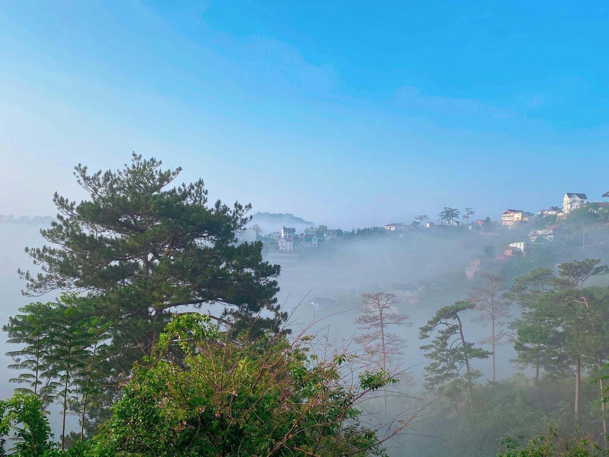 Dalat Memories Homestay - Pho Suong Mo Далат Екстер'єр фото