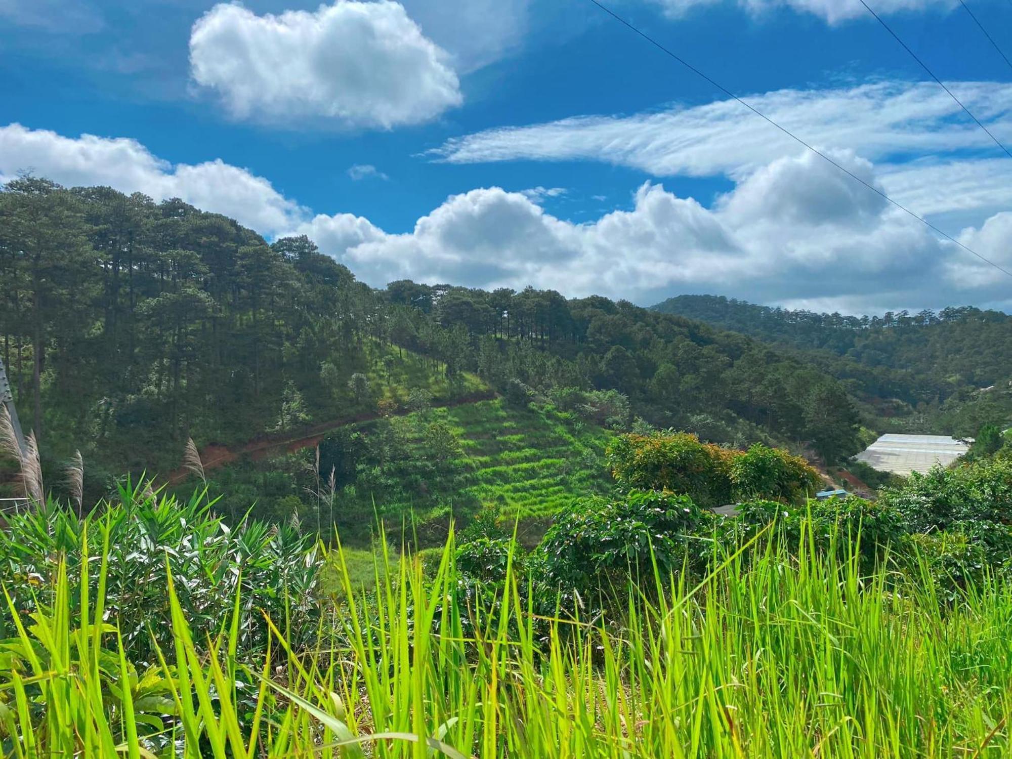 Dalat Memories Homestay - Pho Suong Mo Далат Екстер'єр фото